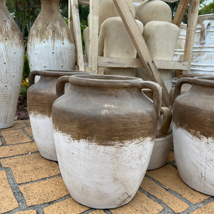 Double Handle Wide Neck Jug