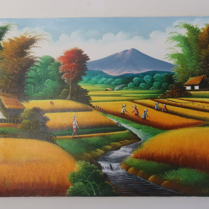 Rice Fields in Mountains