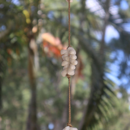 Shell String Hanging