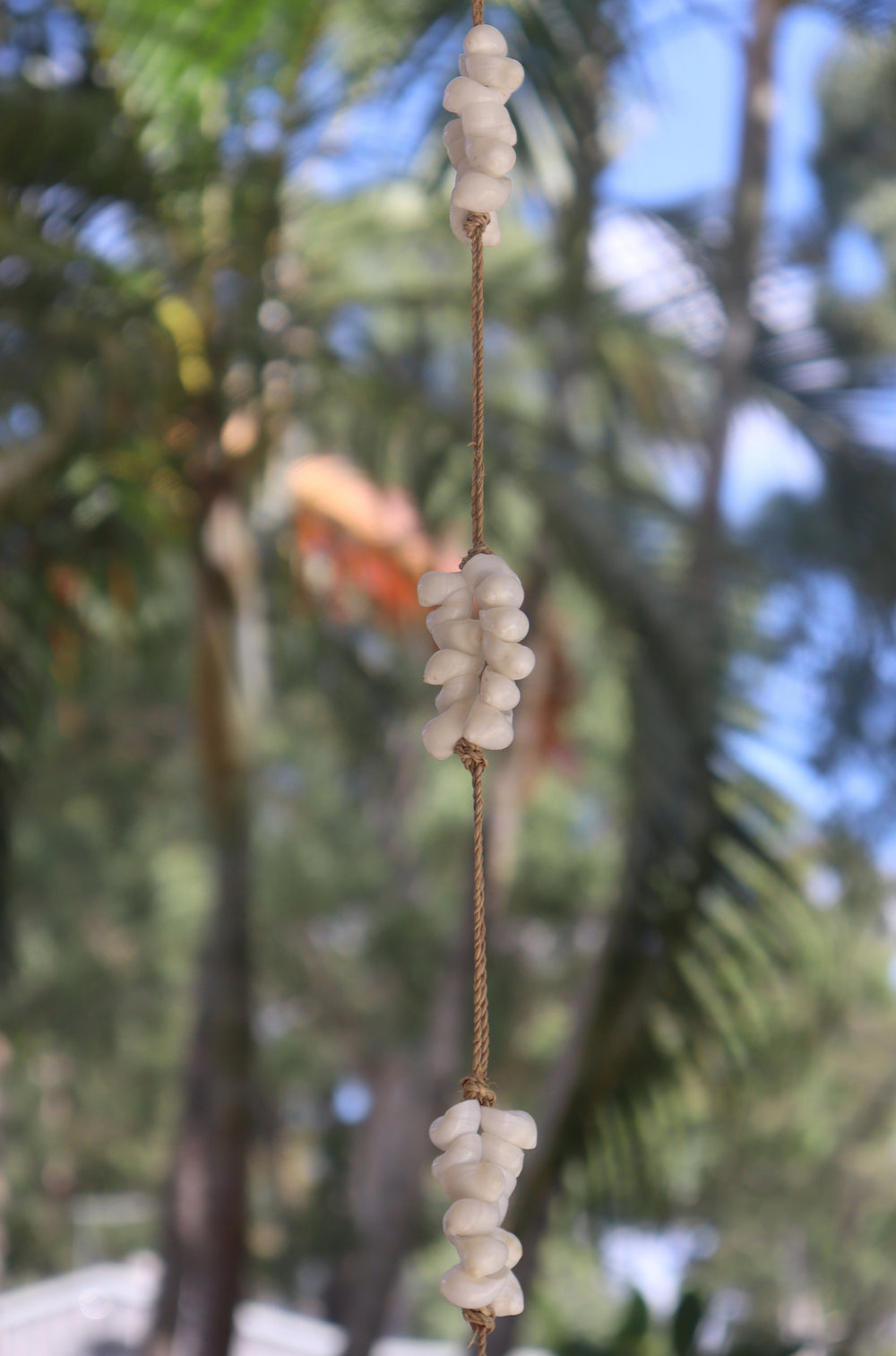 Shell String Hanging