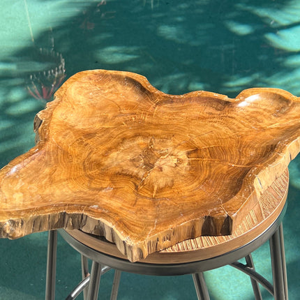 Natural Wooden Slab Platter
